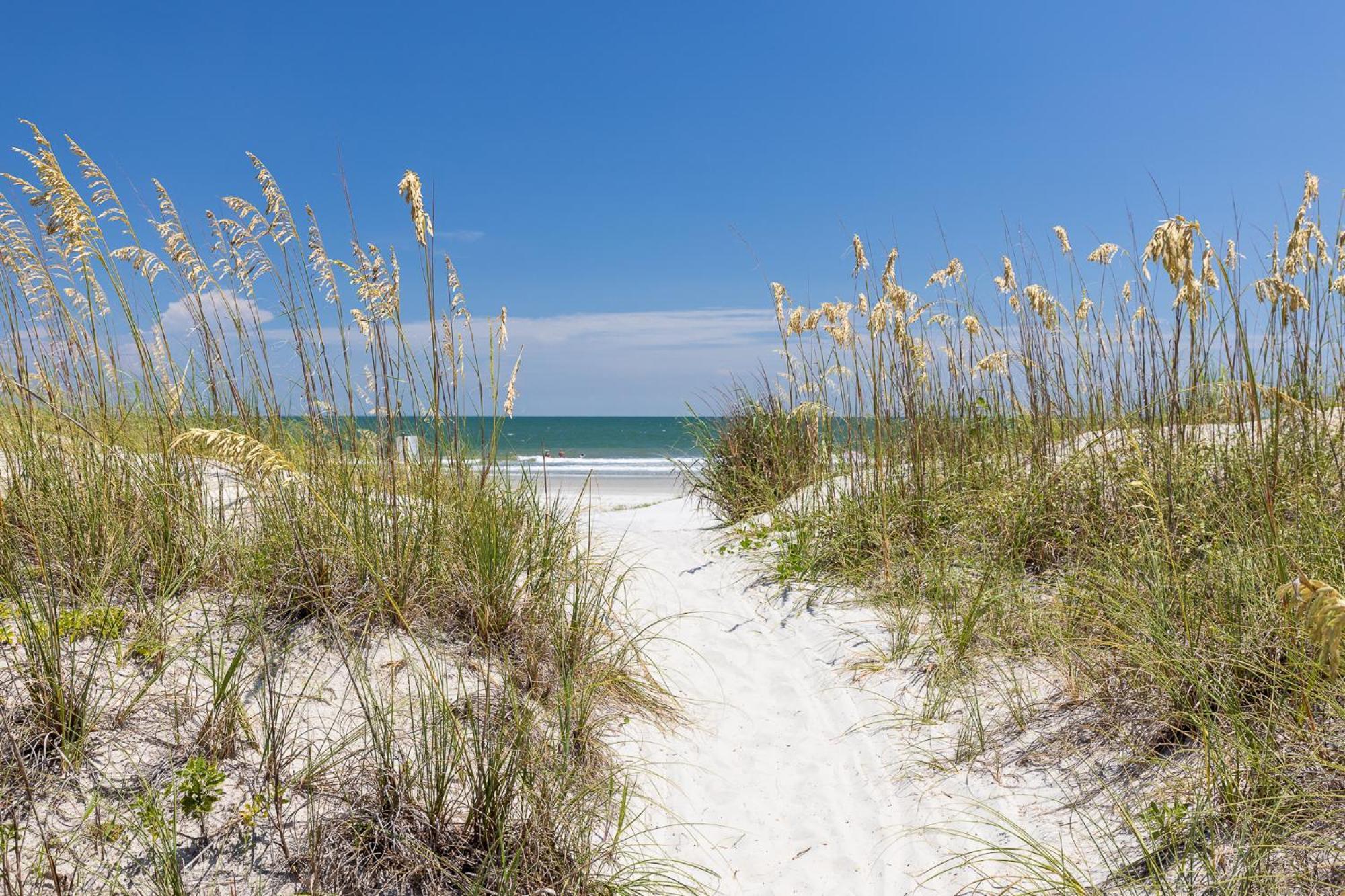6 Wanderer - Host2Coast Villa Hilton Head Island Dış mekan fotoğraf